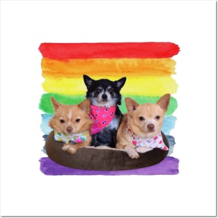 Rainbow Paint Chihuahua Posters and Art